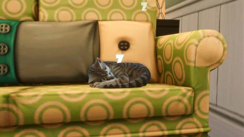 模拟人生4怎么养猫[图2]