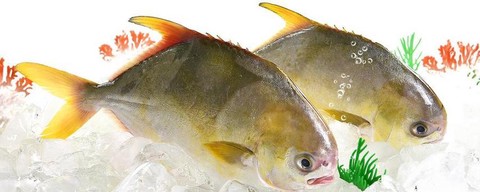 部落冲突死鱼是什么[图1]