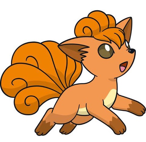 神奇宝贝6什么时候出[图2]