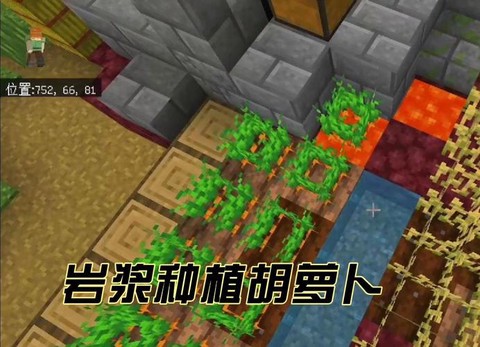 我的世界怎么种胡萝卜[图2]