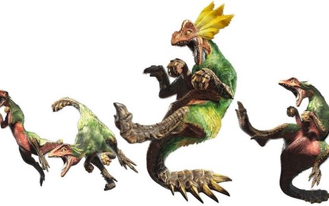 怪物猎人X跳狗龙怎么打[图2]