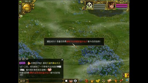 问道手游怎么捉宝宝[图1]