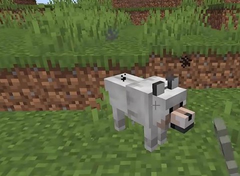 我的世界怎么驯养狼[图1]