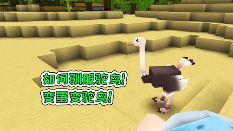 迷你世界怎么驯化鸵鸟[图1]